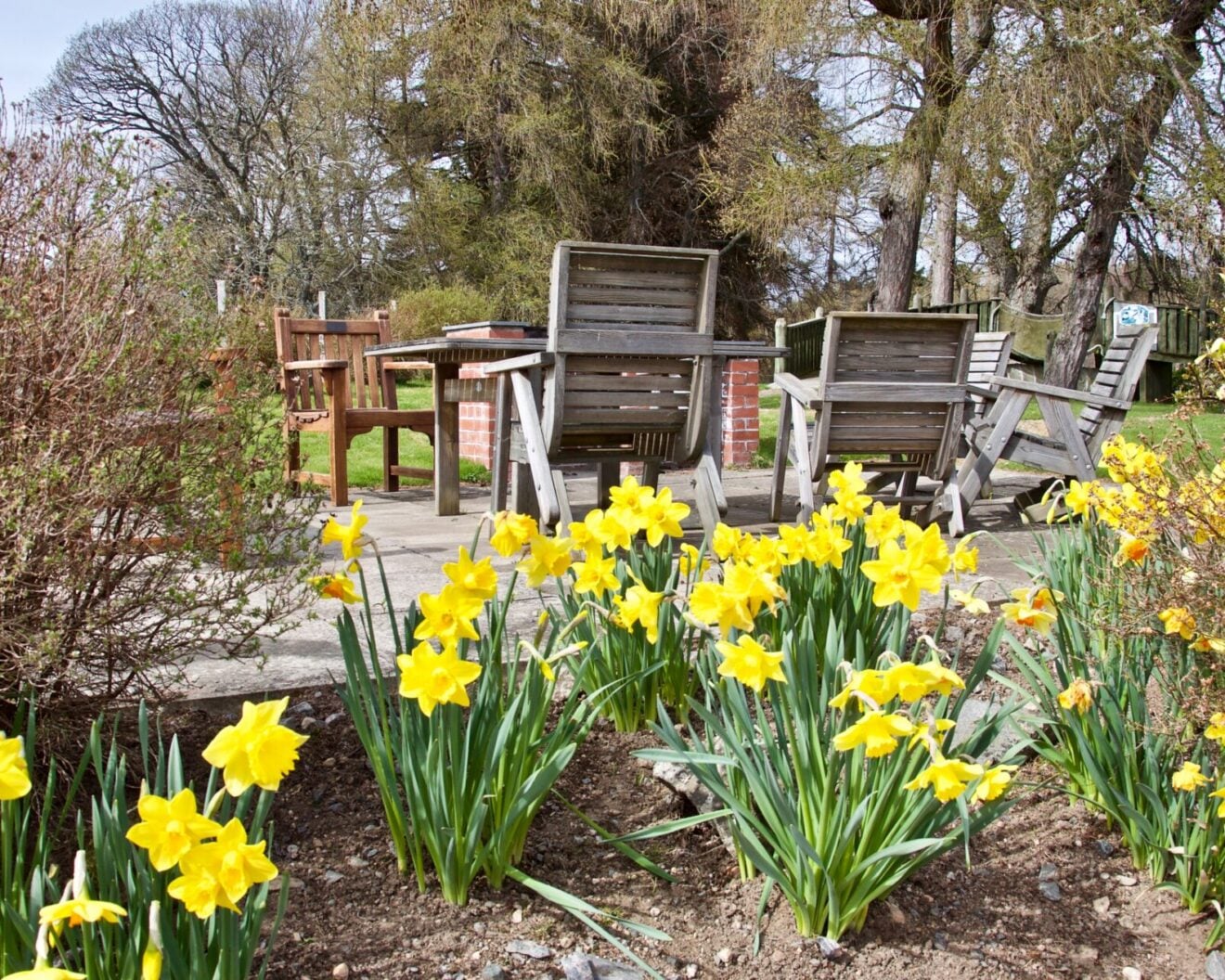 Crathie Opportunity Holidays - gardens in Spring
