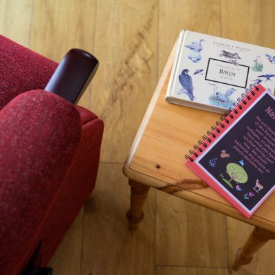 Riser recline armchair and bird books
