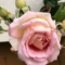 Janet Hughes Avatar